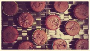 12801192_10207528446202749_7610809885171071230_n